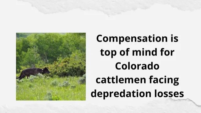Compensation for Colorado Cattlemen