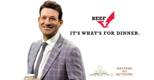 KBC Joins National Tony Romo Grilling Season Campaign