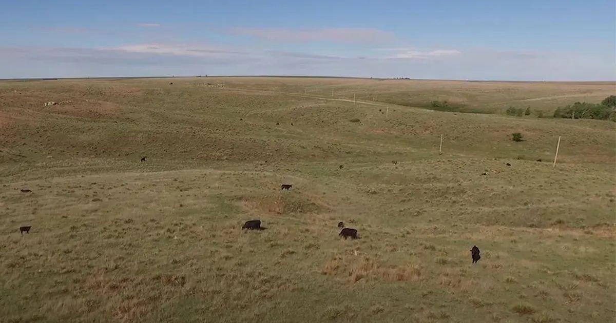 USDA Accepts More than 3.1 Million Acres in Grassland CRP Signup