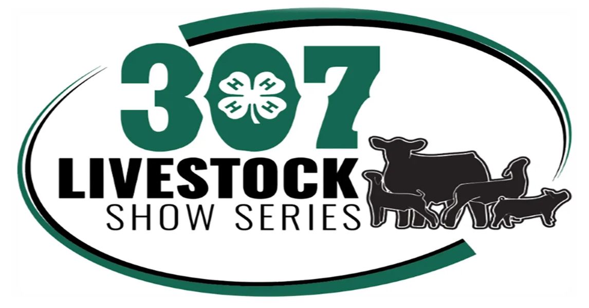 Wyoming 4H’ers Competing in 307 Livestock Show Series across Cowboy State