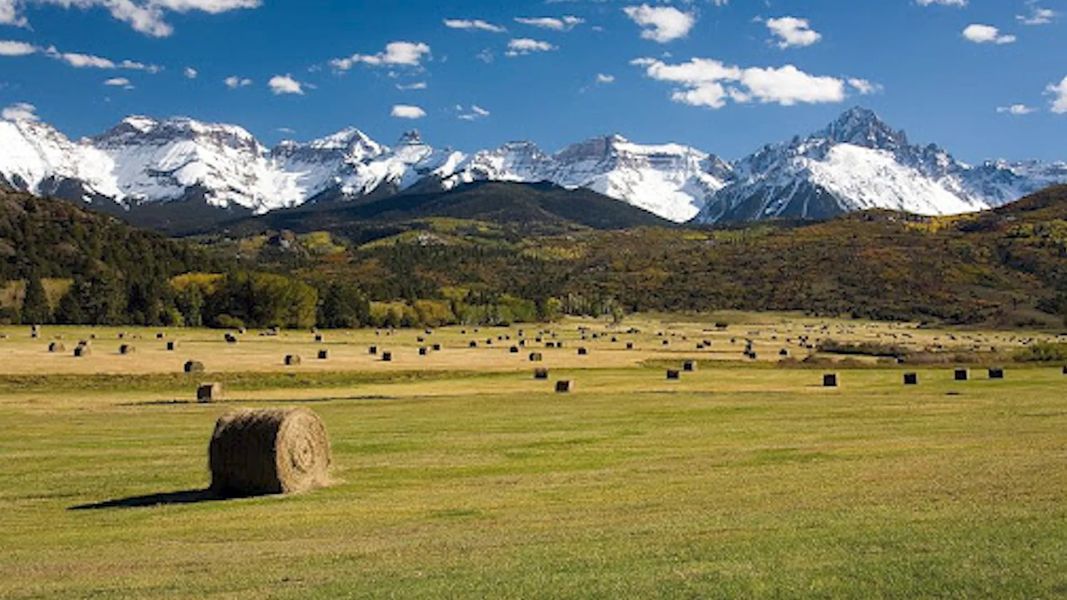 Colorado Hay Directory Now Accepting Listings