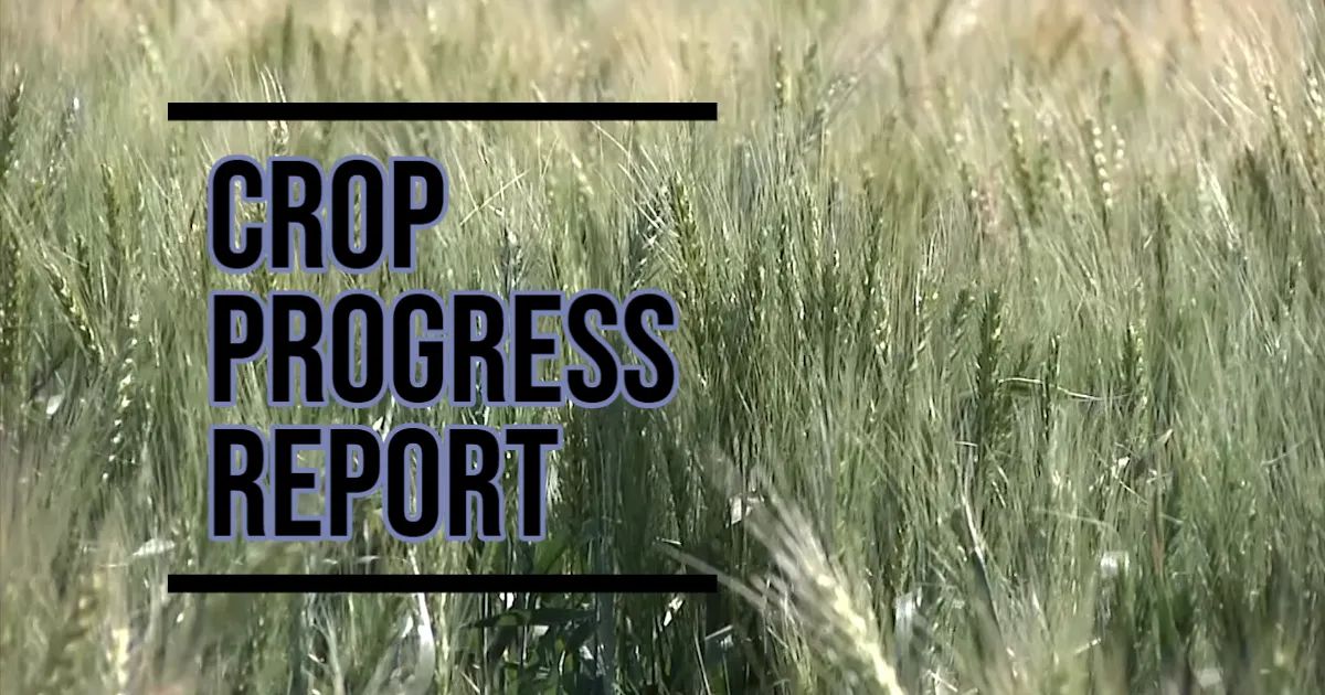 Crop Progress Report for May 9th