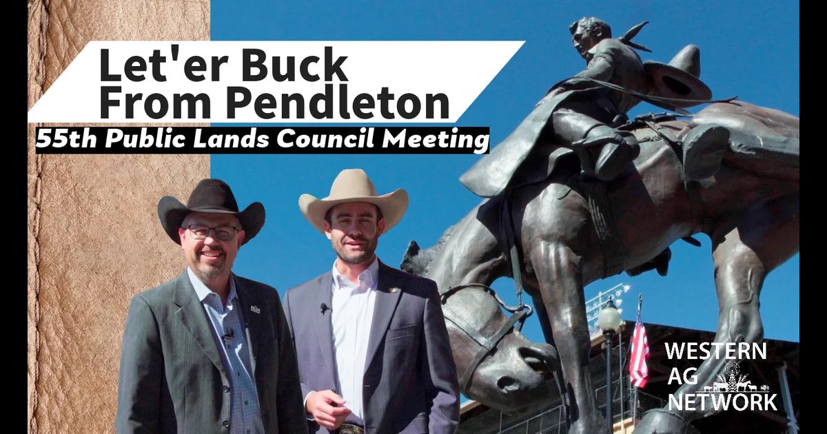 Let'er Buck From Pendleton