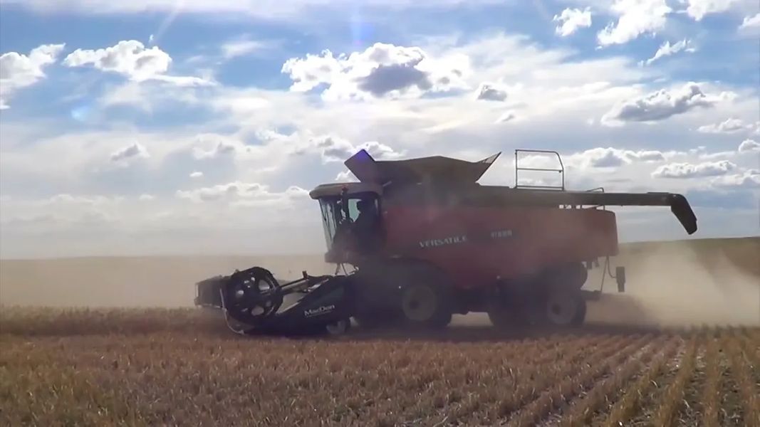 Spring Wheat Harvest Advances to 15 Percent