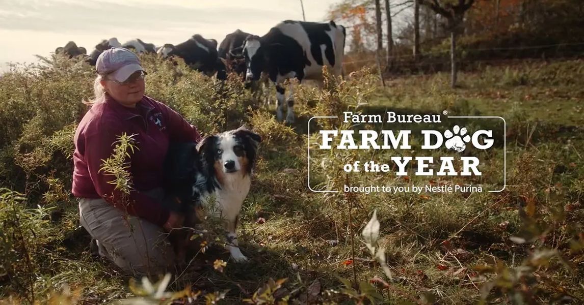 Farm Bureau Farm Dog of the Year Nominations Now Open