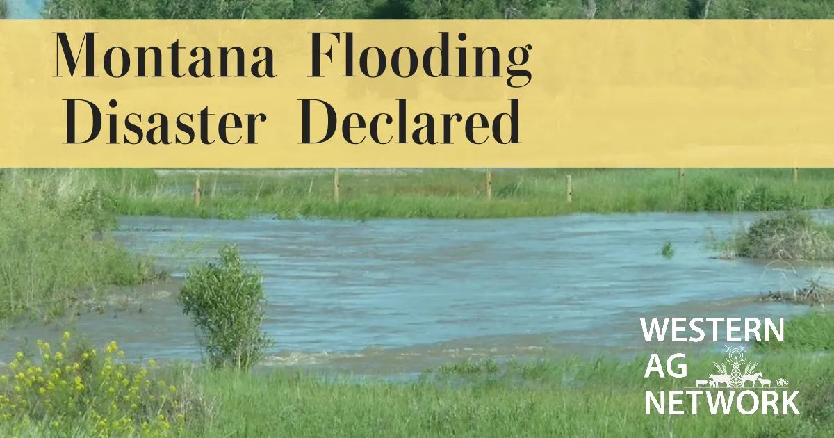 Montana Flooding Disaster Declared