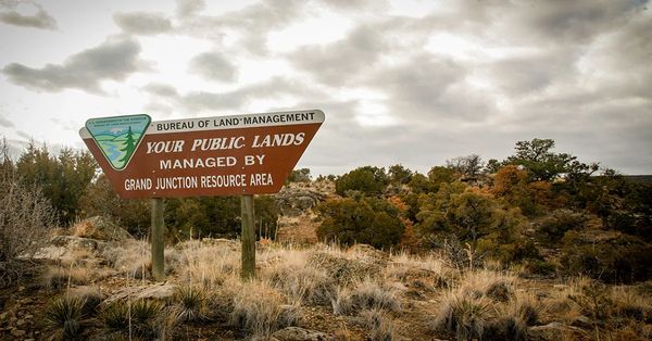 Biden Administration Moves BLM Headquarters From Colorado Back To ...