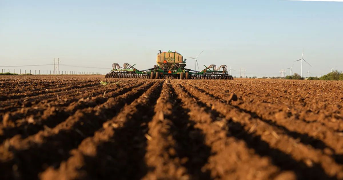 USDA Predicts Decline in U.S. Spring Wheat Planted Area as