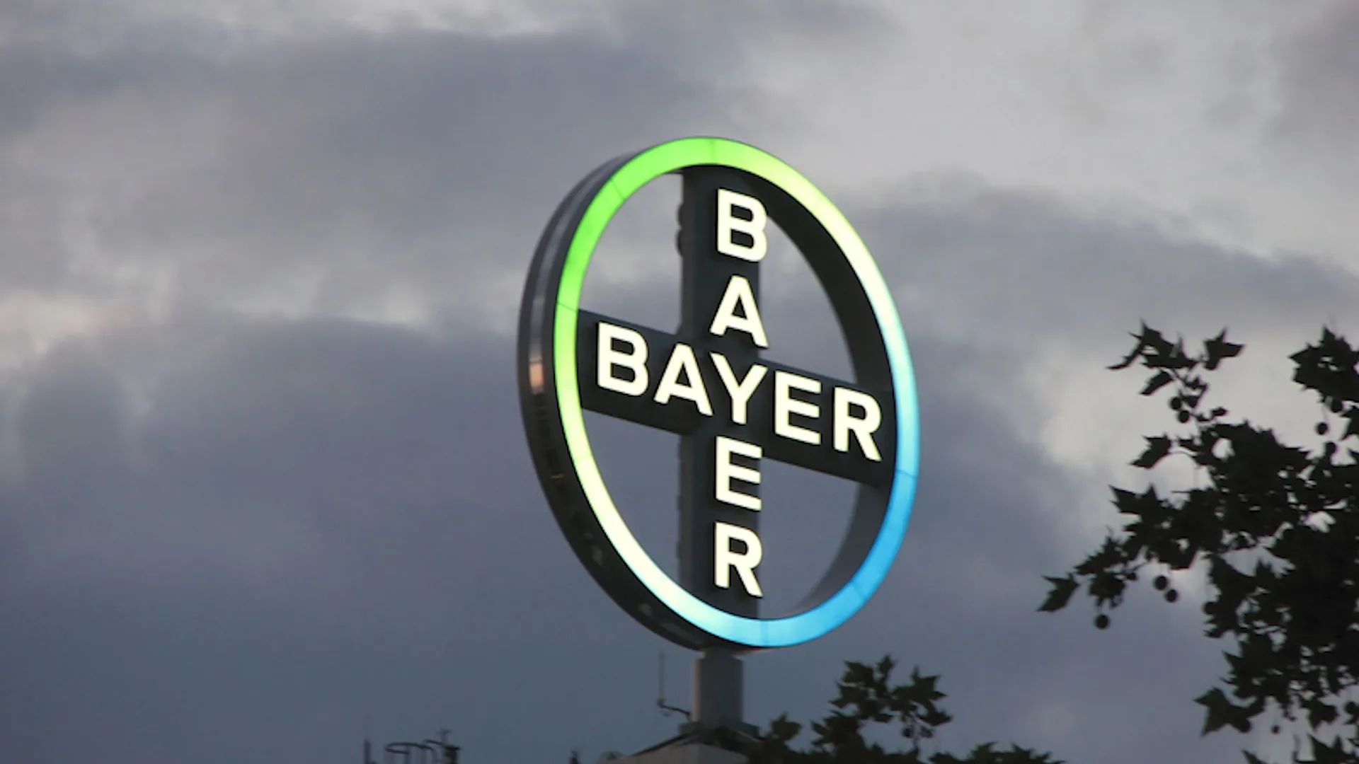 Bayer Reaches 10.9 Billion Settlement with Roundup, Dicamba Plaintiffs