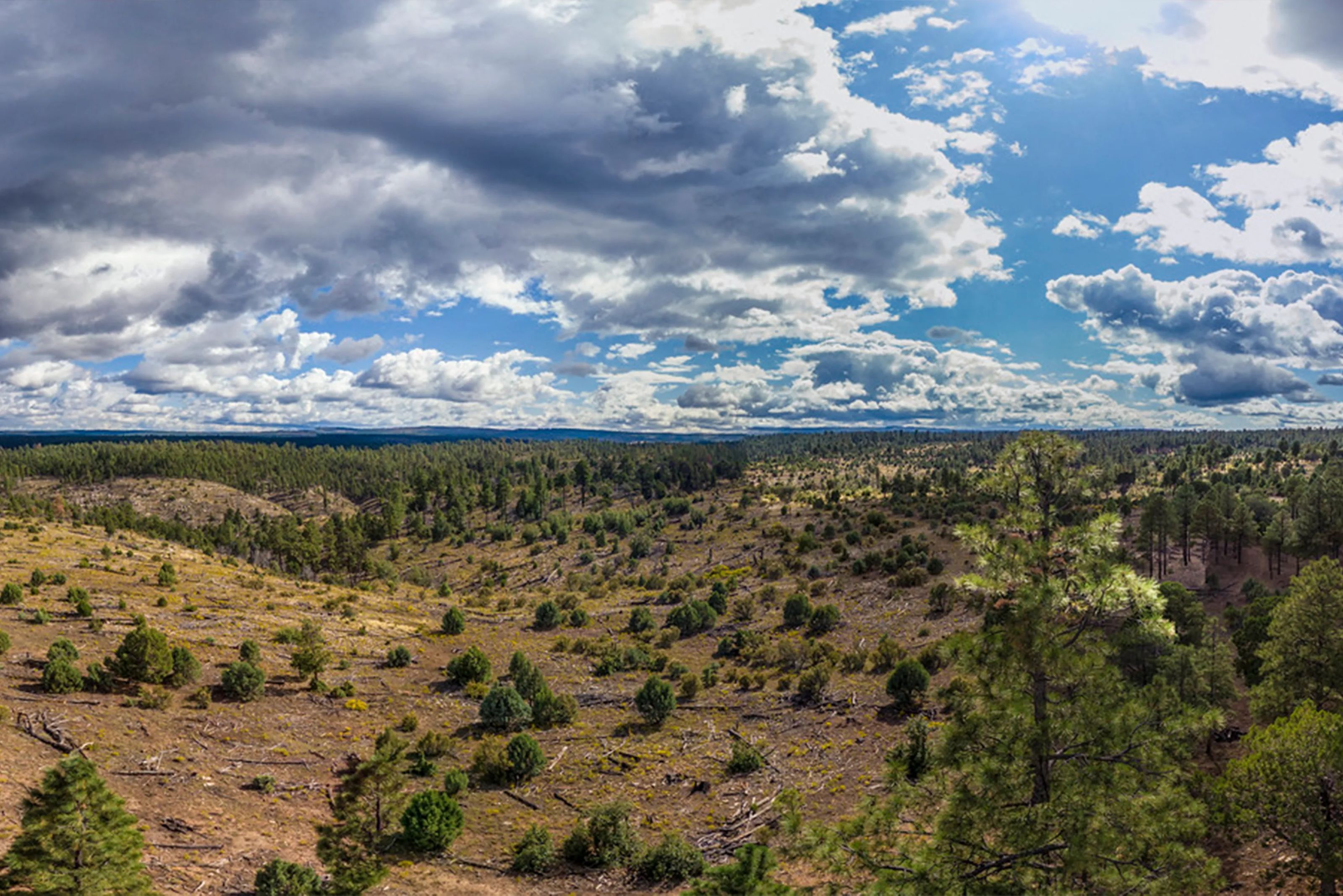USDA: USFS Headquarters Moving to Salt Lake City