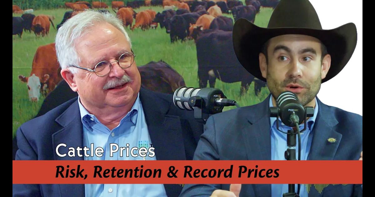 Risk, Retention & Record Prices: 2025 Cattle Market