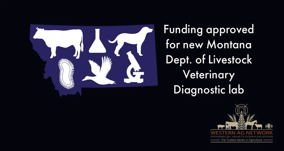 Montana Cattle Ranchers Eager For New Veterinary Diagnostic Lab