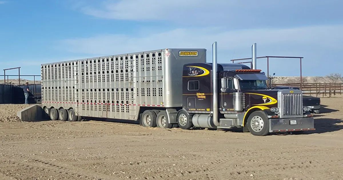 HoursofService Exemption Extension for Livestock Haulers Not Renewed