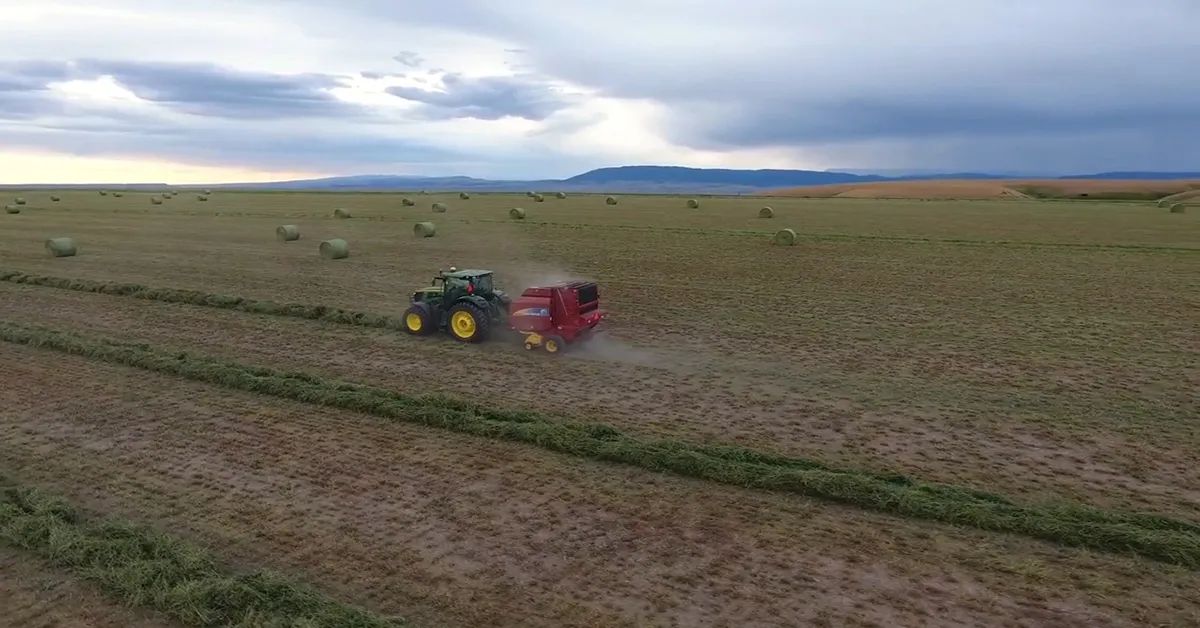 Annual Colorado Publication Connects Hay Producers and Buyers