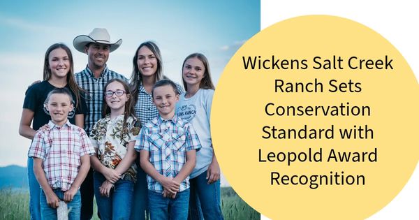 Salt Works Ranch Wickens Salt Creek Ranch Sets Conservation Standard with Leopold Award ...