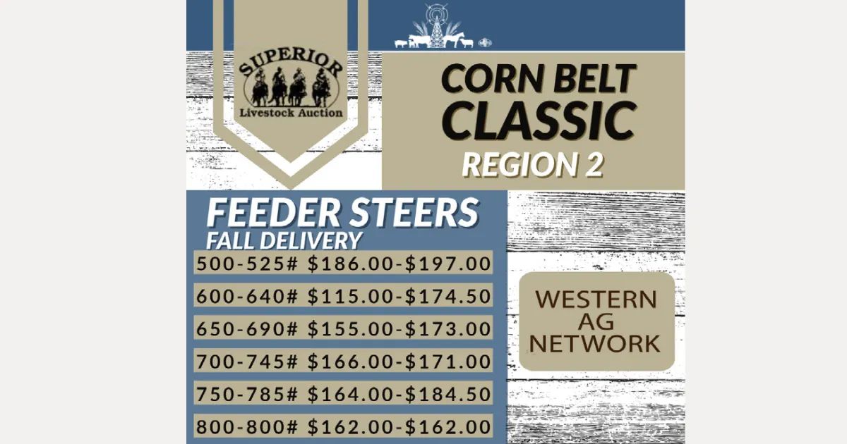 Superior Livestock Corn Belt Classic Exceeds Expectations