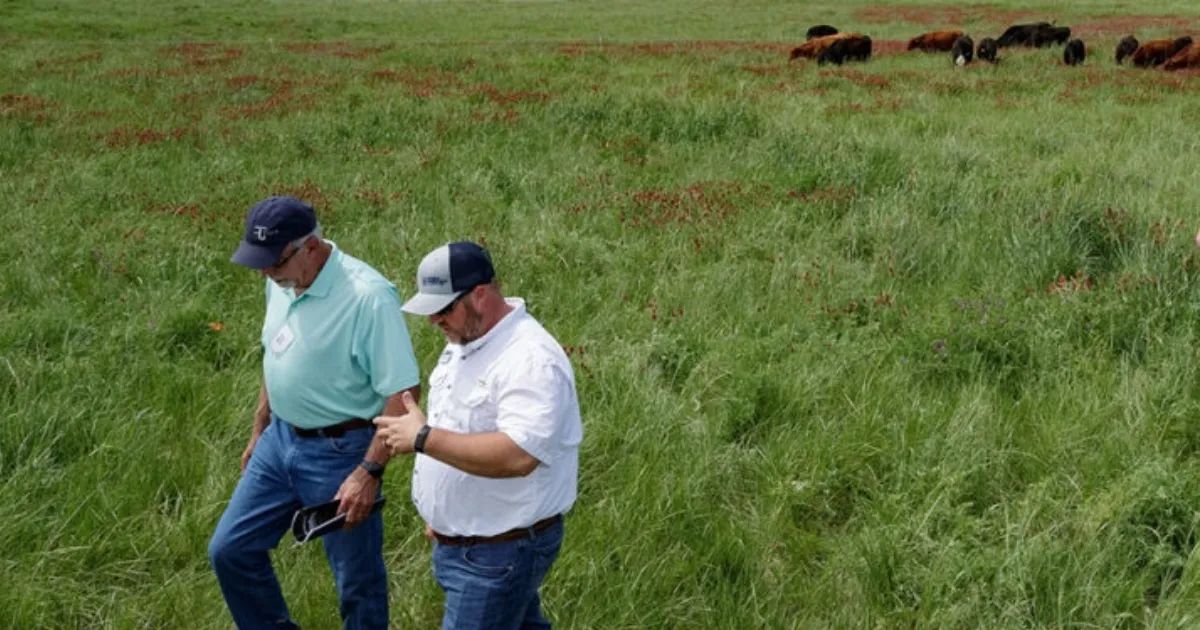 Low-Risk Strategies to Transition from Conventional to Adaptive Grazing