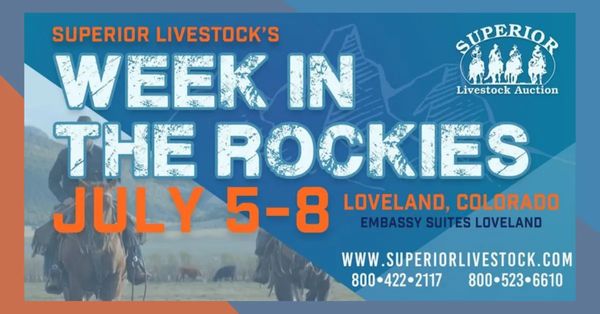 Superior Livestock Week In The Rockies Auction