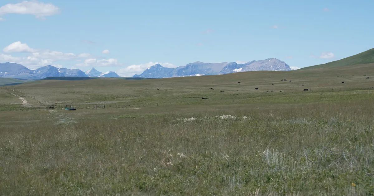 Who is America’s Largest Landowner?