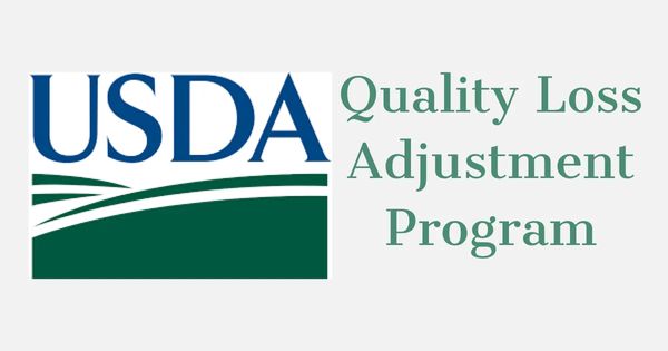 USDA Announces Quality Loss Assistance Now Available For Eligible ...