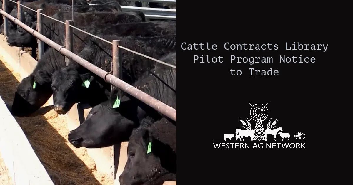 Cattle Contracts Library Pilot Program Notice to Trade