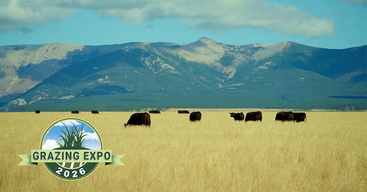 Grazing Expo 2026 to Explore Lower Feed Costs and Better Cattle Nutrition