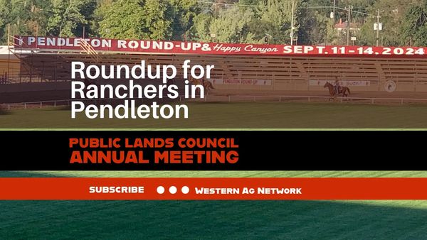 Roundup for Ranchers in Pendleton