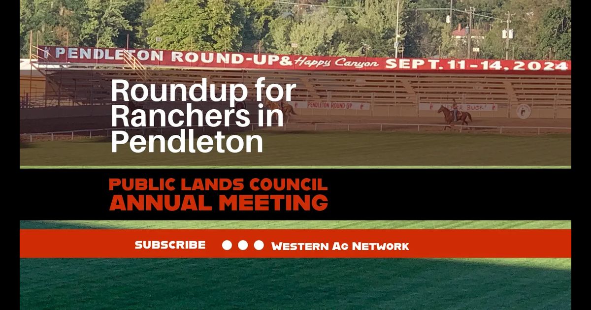 Roundup for Ranchers in Pendleton