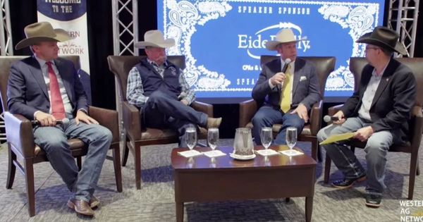 Ag Risk Advisors Boosting Profitability: Key Issues for Cattle Producers at July Forum