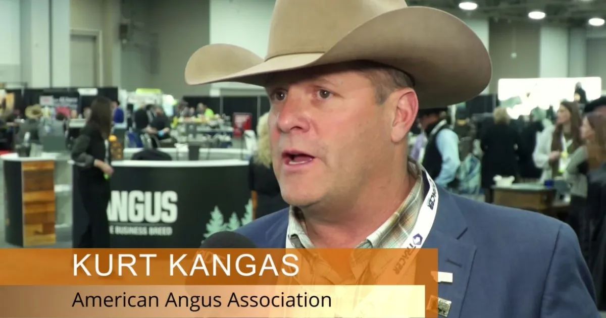 Angus Convention Underway in Salt Lake City, UT