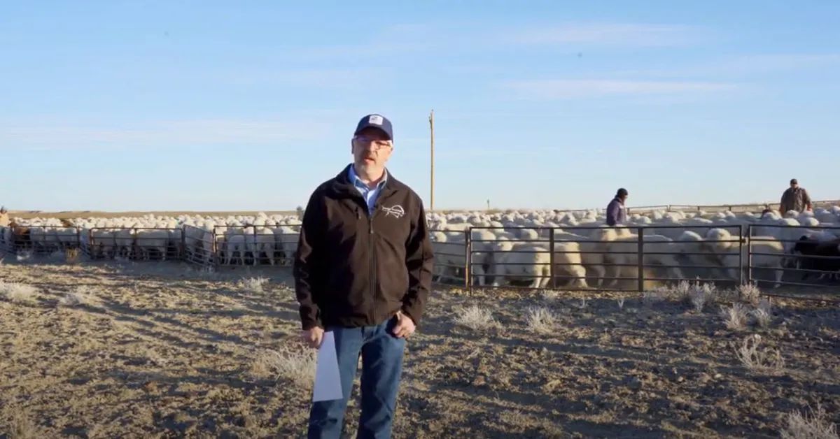 New Video Series Got Sheep? Offers Practical Advice for Producers