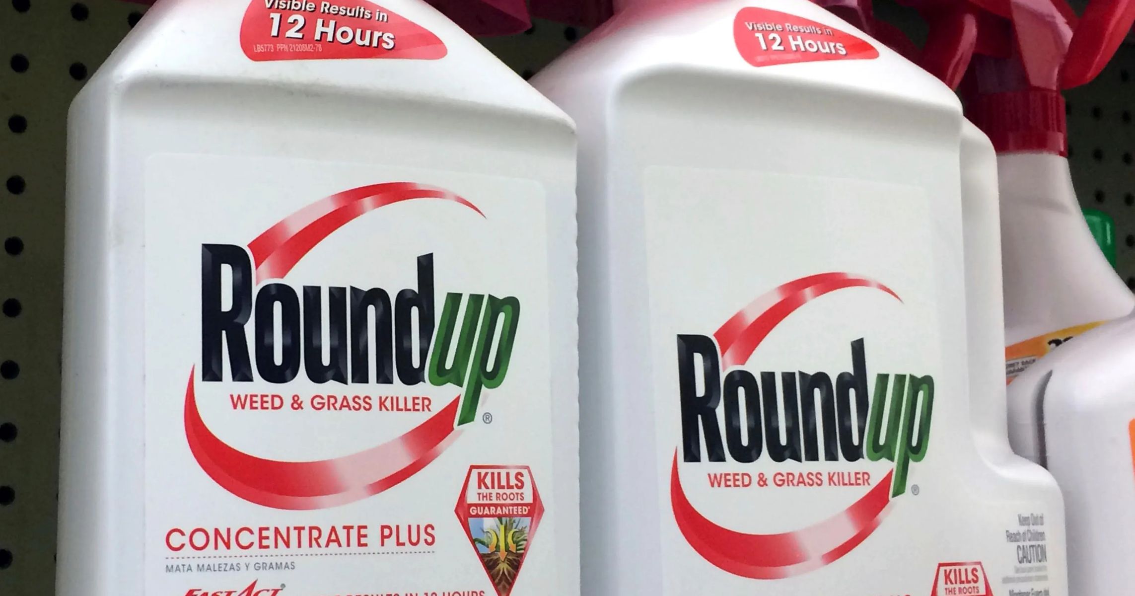 Judge Concludes Cancer Warning Label on Roundup Unjustified