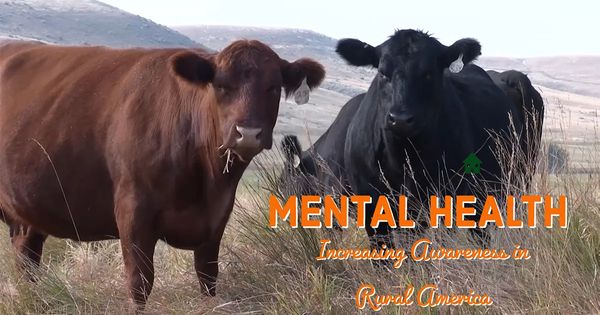 Increasing Mental Health Awareness In Rural America