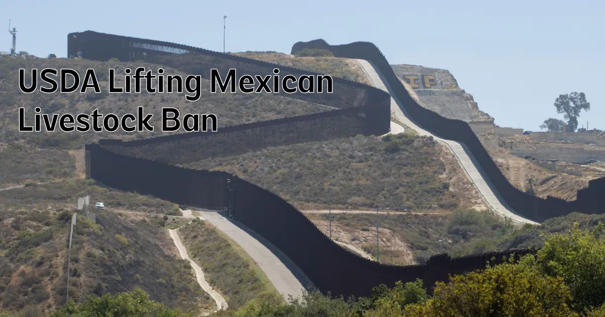 Livestock Movement Resumes at U.S.-Mexico Border