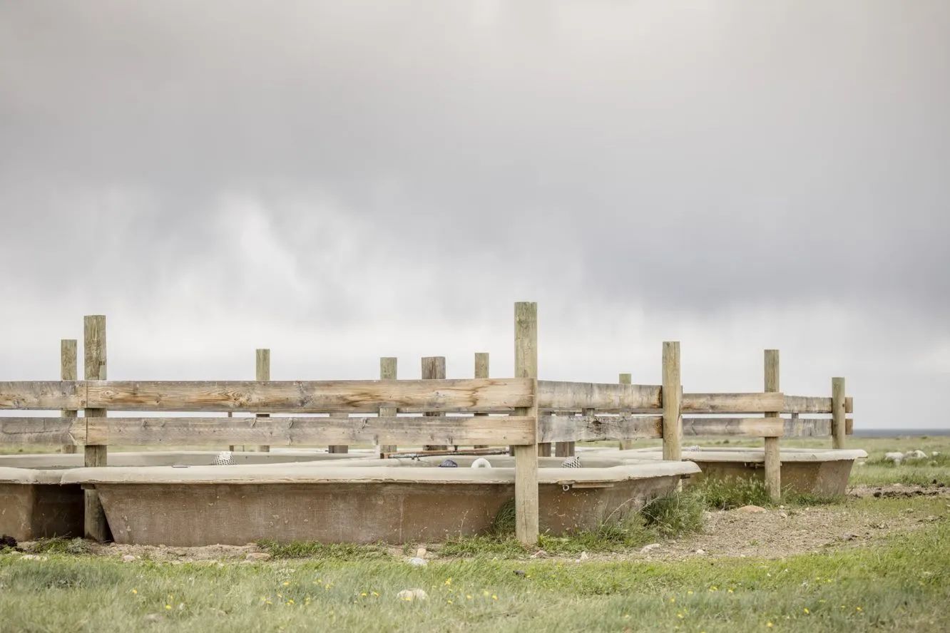 Along 12 miles of pipeline on Dusty Emond’s ranch, he has tried a variety of tanks including 2,000-gallon rectangular fiberglass tanks, half round fiberglass tanks, 12-foot round tanks, tire tanks, and the new RSA-funded portable tanks.