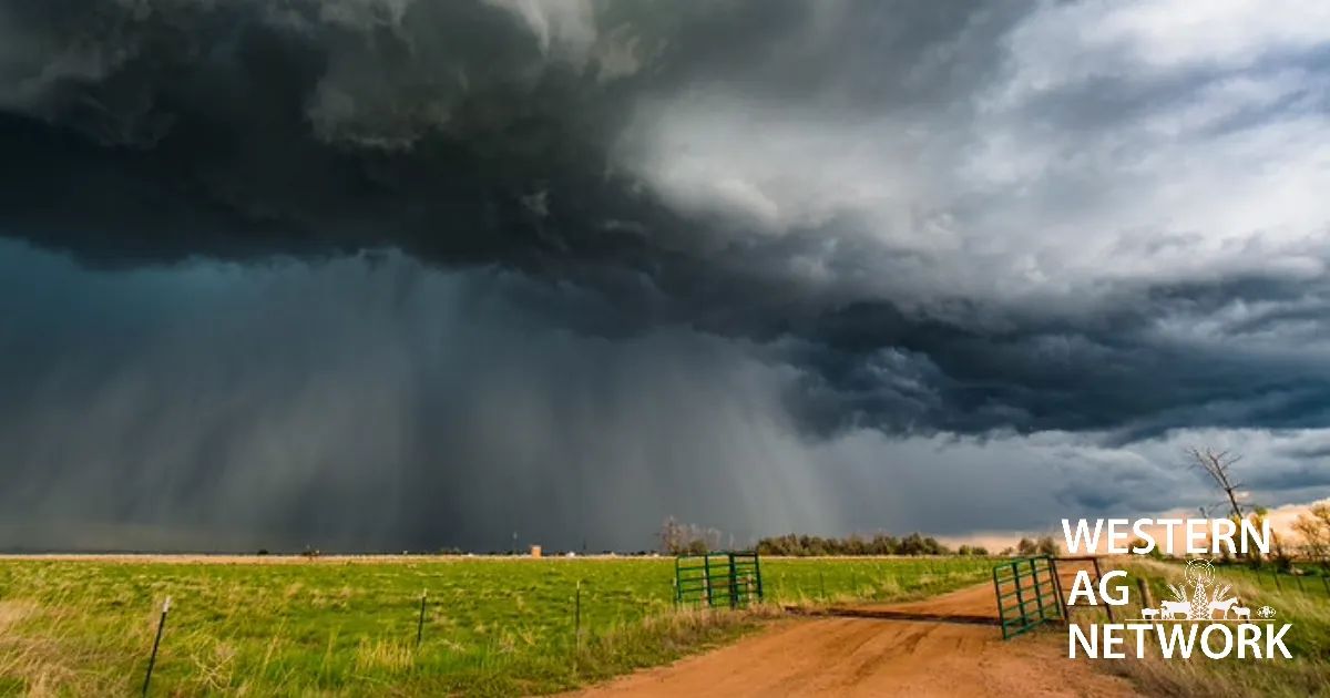 Fall Storm on it's Way