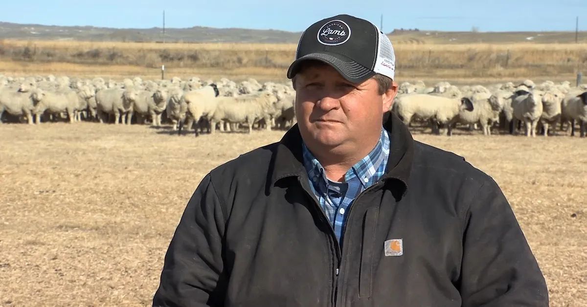 Montana Sheep Producer Elected to National Office