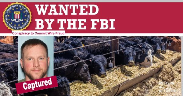 Tim Argabrite FBI: Agridime Executive Captured at Los Angeles Airport