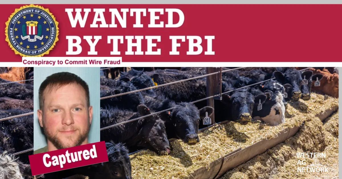 FBI: Agridime Executive Captured at Los Angeles Airport