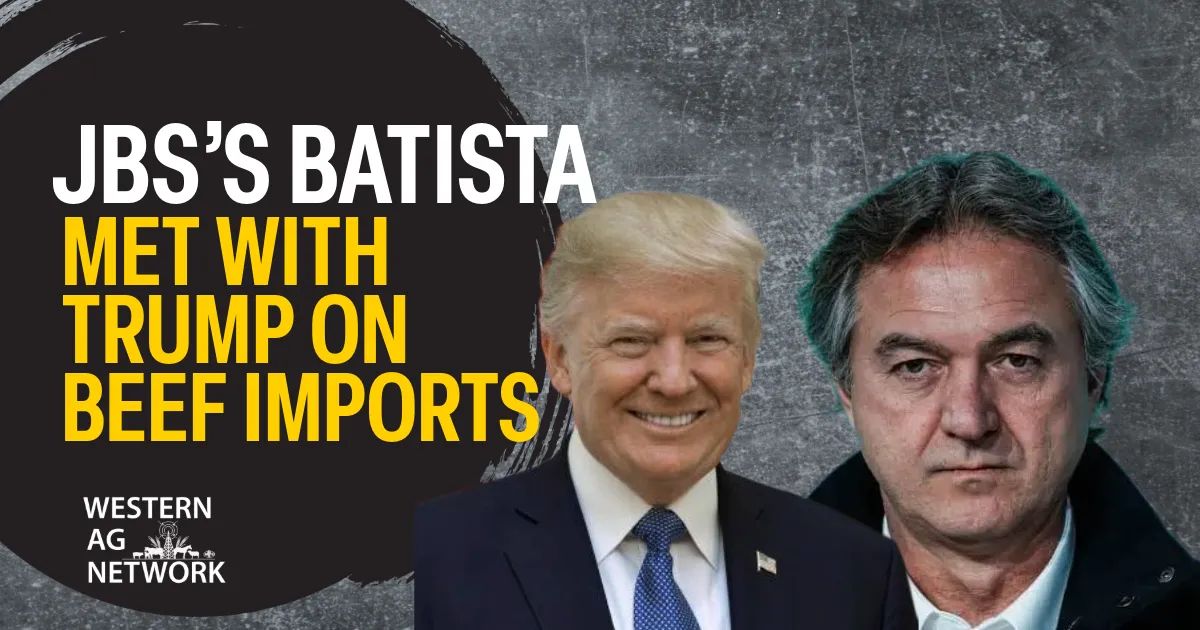 JBS atteint son plus bas niveau de 52 semaines alors que l'ordre de bœuf de Trump pèse sur les actions du processeur