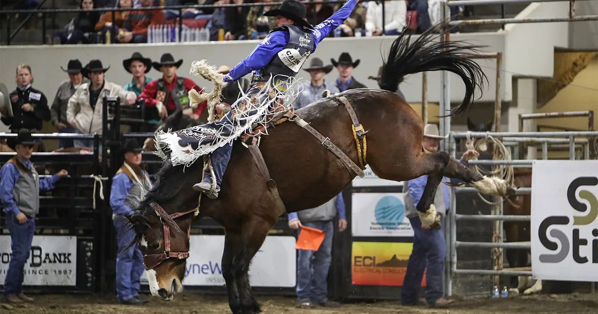 It's Time for the Chase Hawks Rough Stock PRCA Rodeo