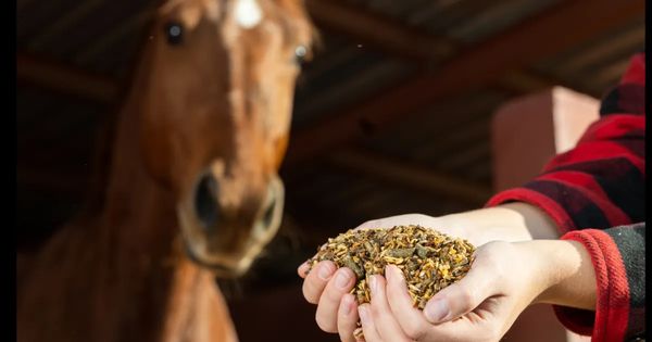 Beutler Ranch Kendra Santos Chronicles Heartbreaking Tragedy at Beutler Ranch
